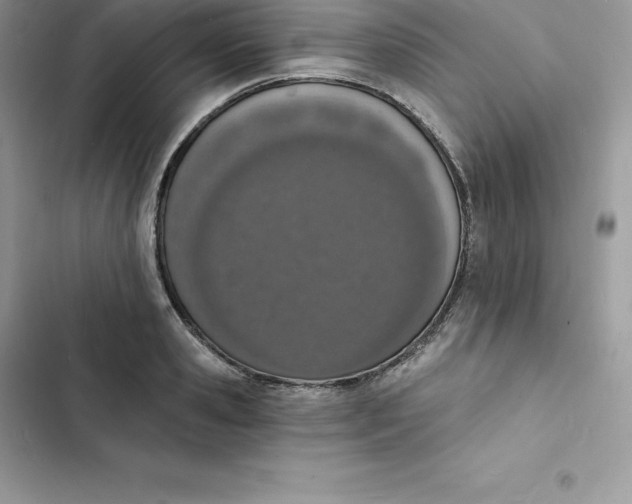 X0000103300941200809191851