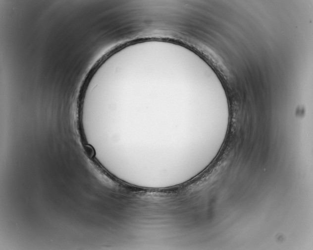 X0000103300942200809191851