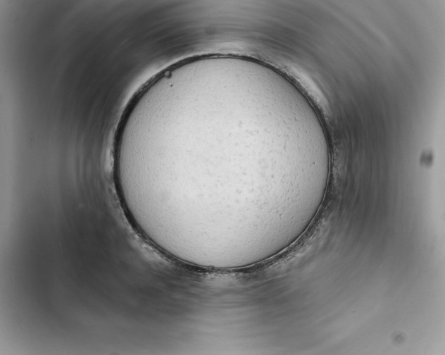 X0000103300944200809191851