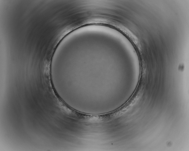 X0000103300945200809191851