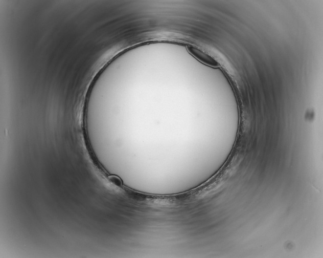 X0000103300946200809191851