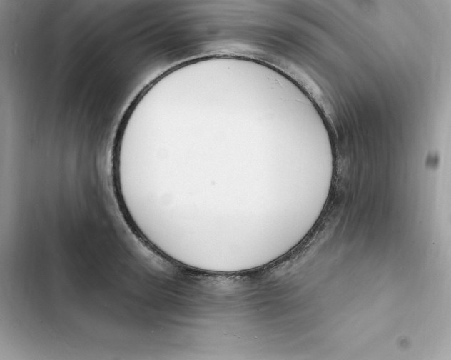 X0000103300947200809191851