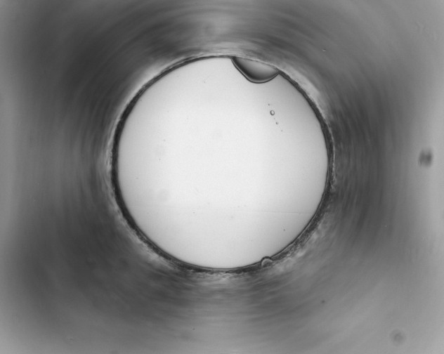 X0000103300949200809191851