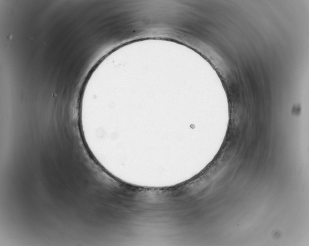 X0000103300950200809191851