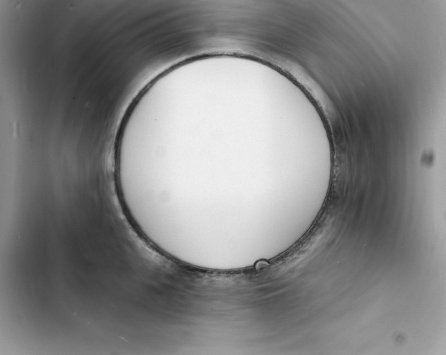 X0000103300951200809191851