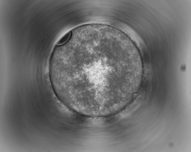 X0000103300952200809191851