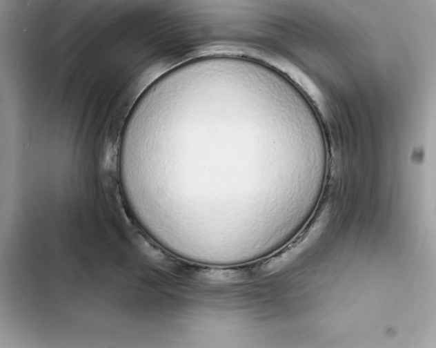 X0000103300953200809191851