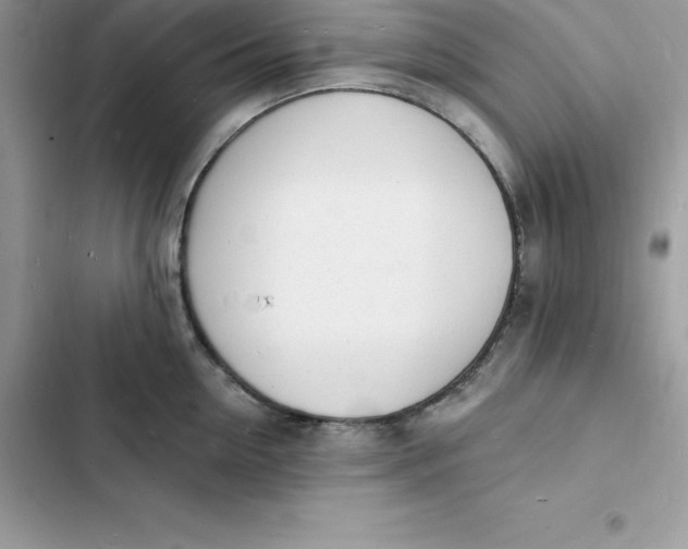 X0000103300954200809191851