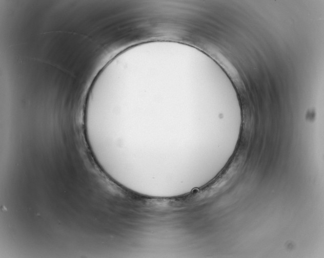 X0000103300956200809191851