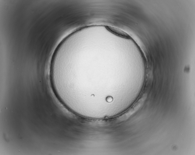 X0000103300957200809191851