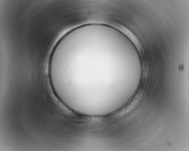 X0000103300958200809191851