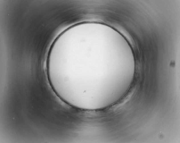 X0000103300959200809191851