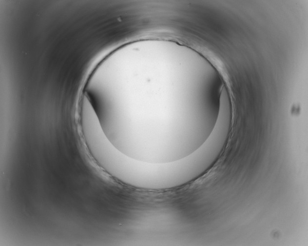 X0000103300960200809191851