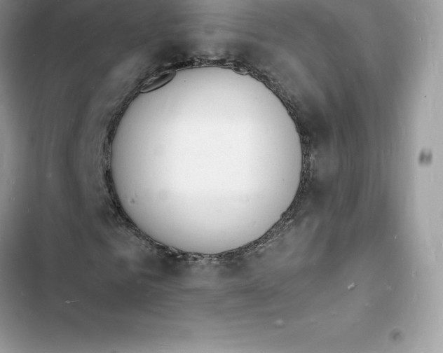 X0000103300961200809191850