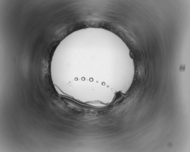 X0000103300964200809191850