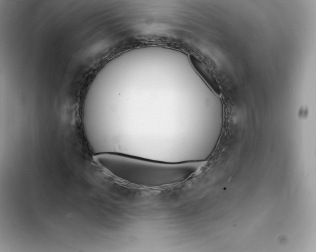 X0000103300965200809191850