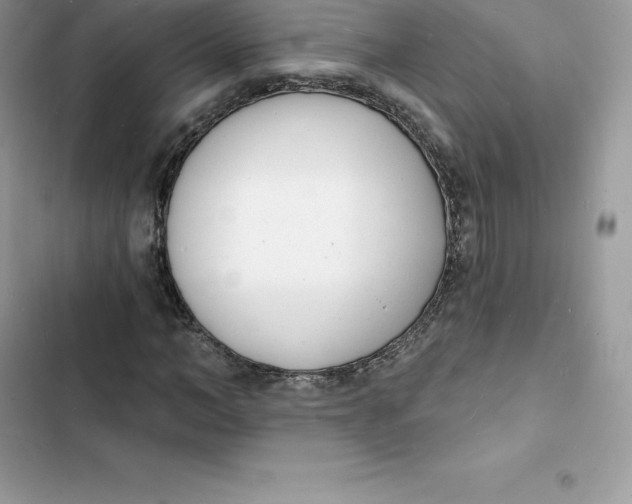 X0000103300966200809191850