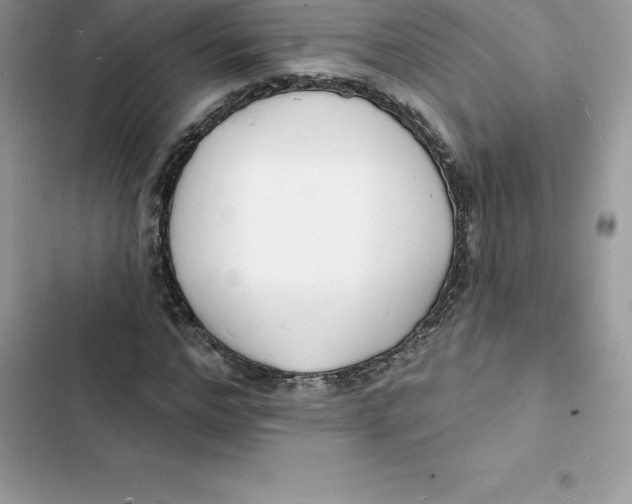 X0000103300968200809191850