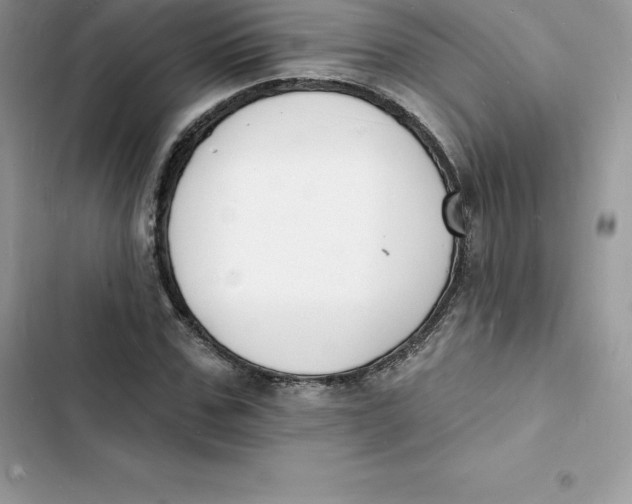 X0000103300971200809191850