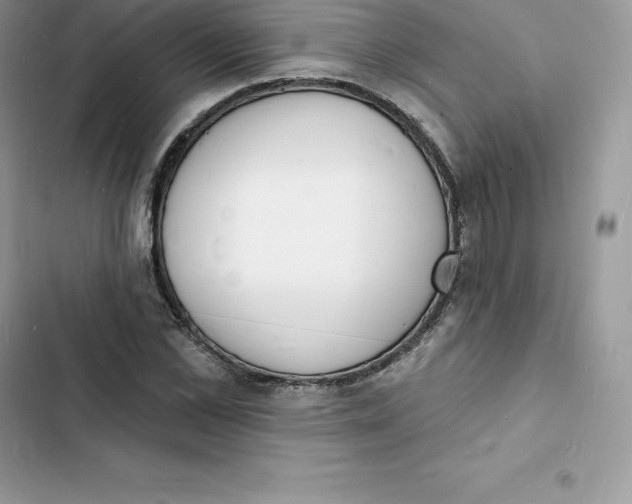 X0000103300973200809191850