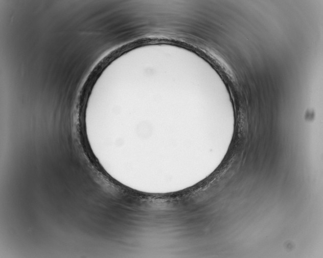 X0000103300976200809191850