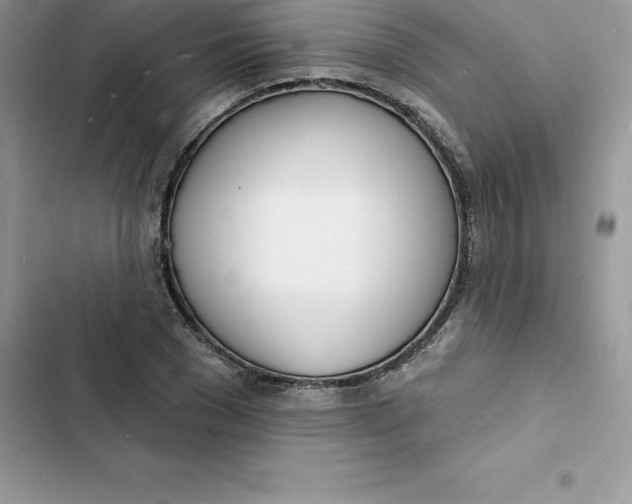 X0000103300977200809191850