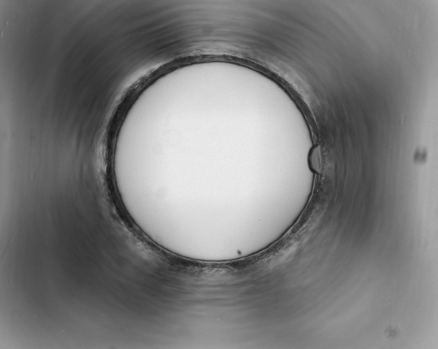 X0000103300979200809191850