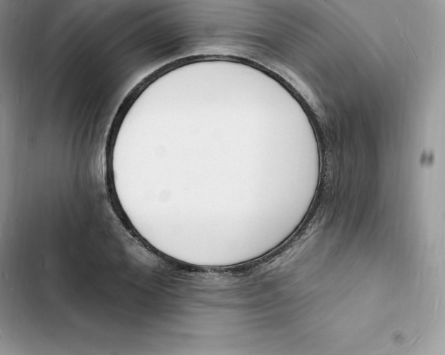 X0000103300980200809191850