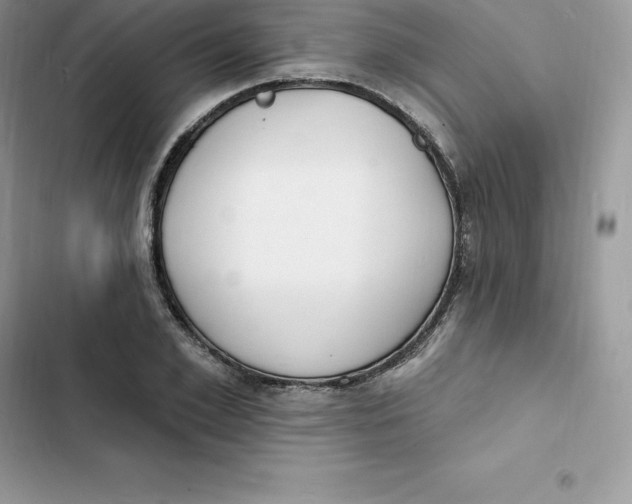 X0000103300981200809191850