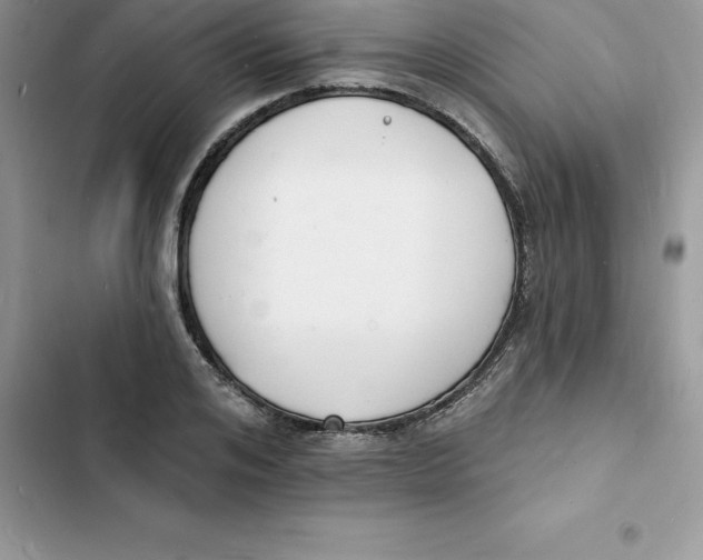 X0000103300984200809191850