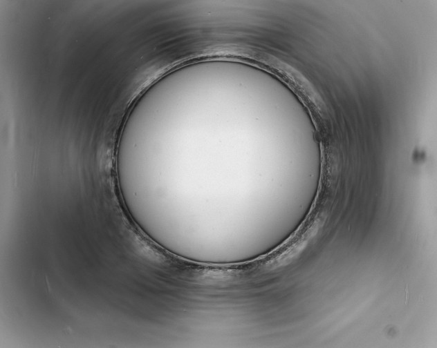 X0000103300985200809191850