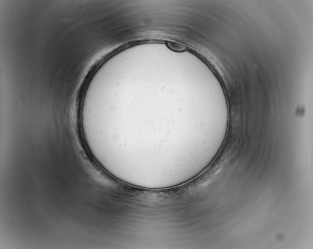 X0000103300987200809191850