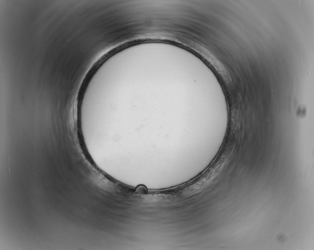 X0000103300988200809191850