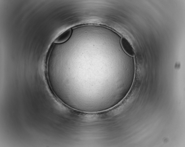 X0000103300989200809191850