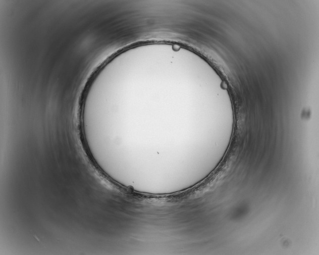 X0000103300990200809191850