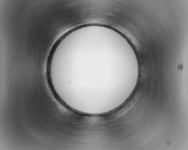 X0000103300991200809191850