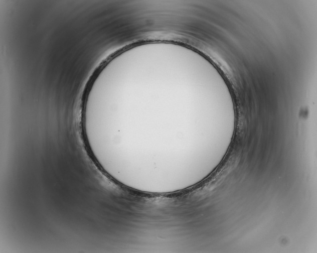 X0000103300992200809191850