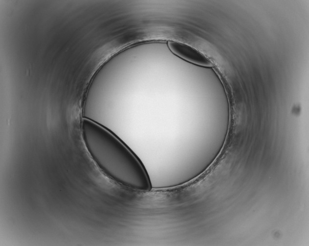 X0000103300993200809191850