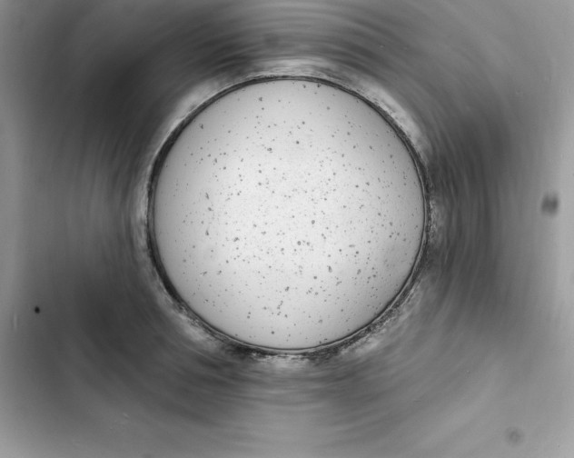 X0000103300994200809191850