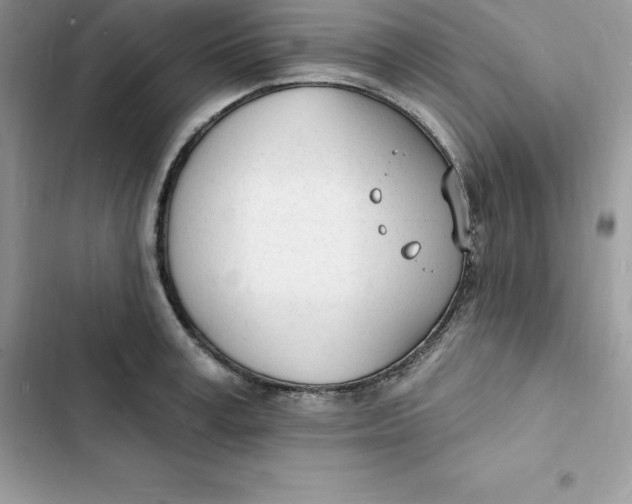 X0000103300995200809191850