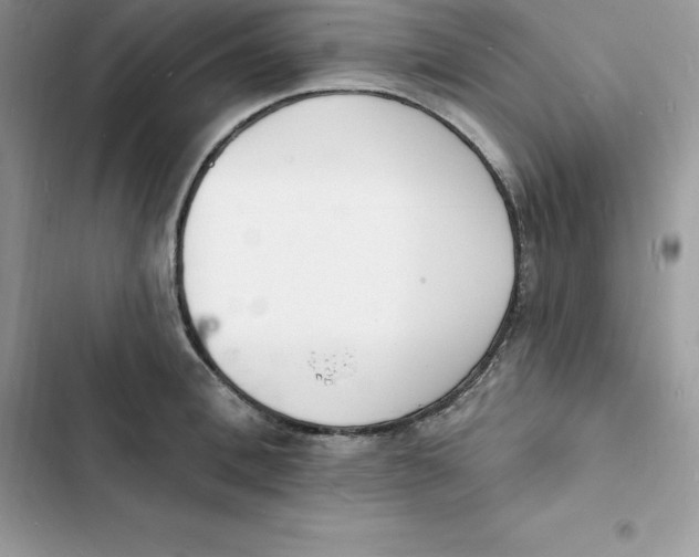 X0000103300996200809191850