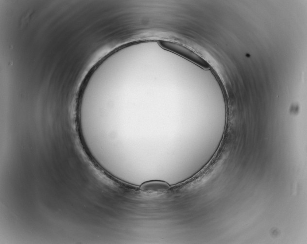 X0000103300997200809191850