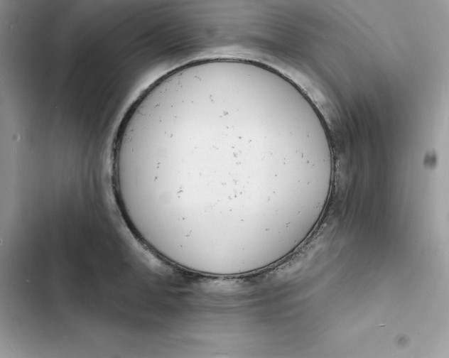 X0000103300998200809191850