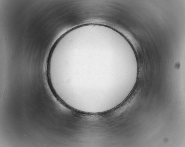 X0000103300999200809191850