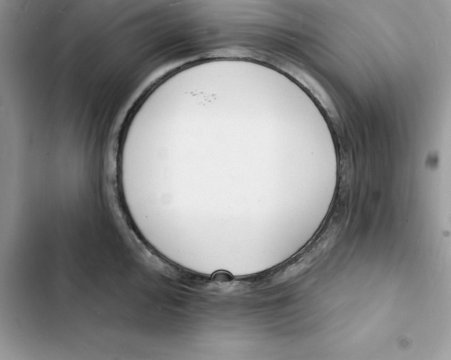 X0000103301000200809191850