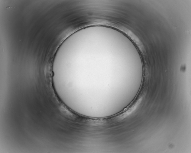 X0000103301001200809191849