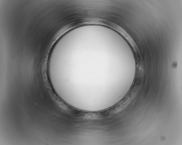 X0000103301002200809191849