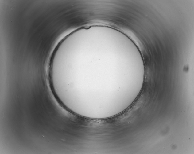 X0000103301003200809191849