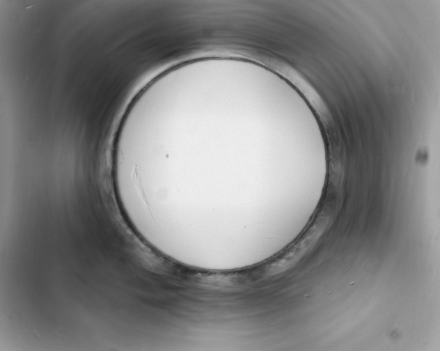 X0000103301004200809191849