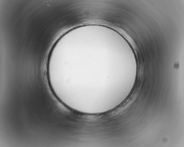 X0000103301005200809191849